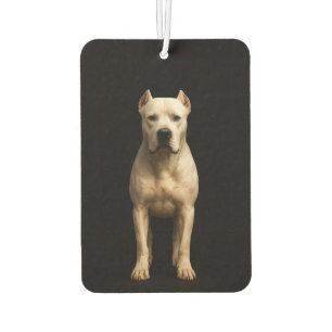 Schwarze 4 Luxus-Autoduftspender Bold Dog Argentin Autolufterfrischer