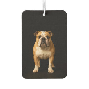 Schwarze 4 Luxus-Autoduftspender Stamina Bulldog Autolufterfrischer