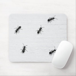 Schwarze Ameisen auf weiß getünchtem Holz Mousepad