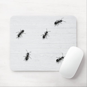 Schwarze Ameisen auf weiß getünchtem Holz Mousepad