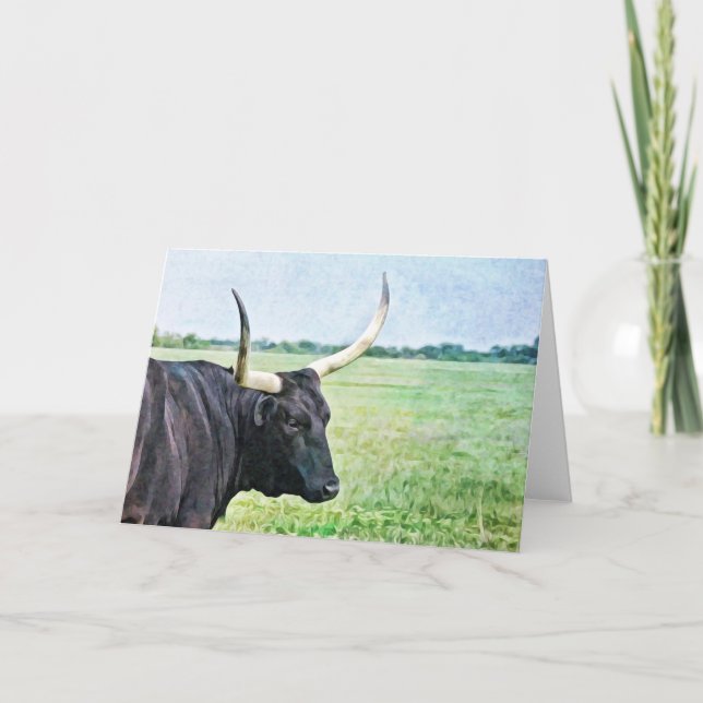 Schwarze Angus Kuh Art Note Card Karte (Vorderseite)