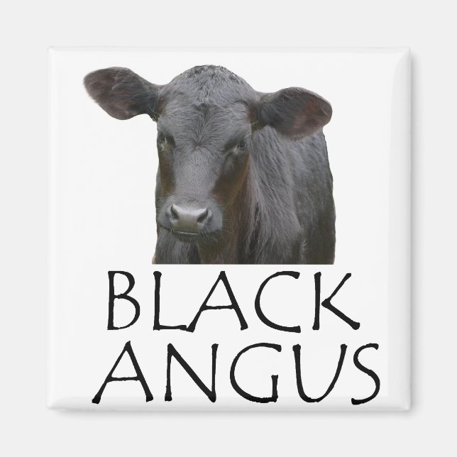 Schwarze Angus Kuh Magnet (Vorne)
