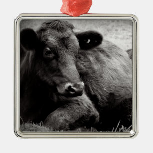 Schwarze Angus-Rindfleisch-Kuh Silbernes Ornament