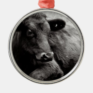 Schwarze Angus-Rindfleisch-Kuh Silbernes Ornament