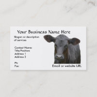 Schwarze Angus-Rindfleisch-Kuh