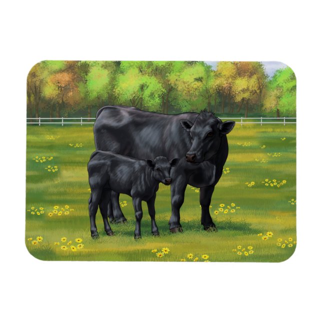 Schwarze Anguskühe und Niedliches Kalb im Sommerwe Magnet (Horizontal)