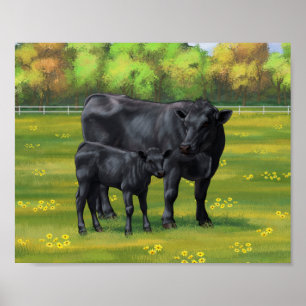 Schwarze Anguskühe und Niedliches Kalb im Sommerwe Poster