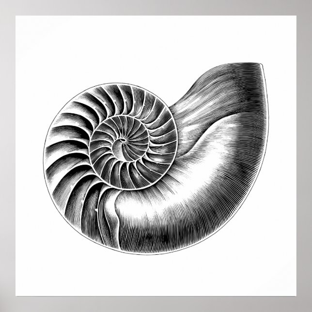 Schwarze Antike Nautilus Wissenschaftliche Illustr Poster (Vorne)