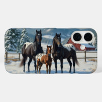 Schwarze Appaloosa Pferde auf einem Bauernhof im W