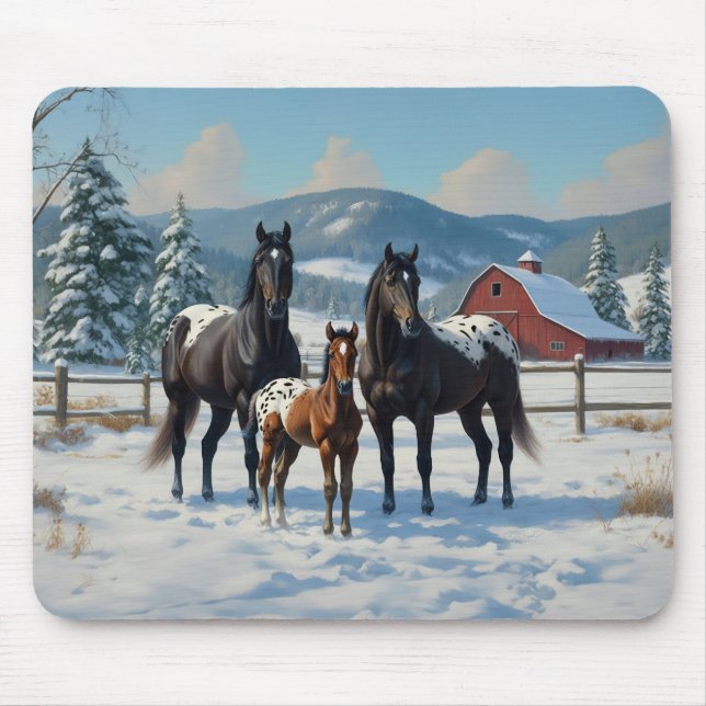 Schwarze Appaloosa Pferde auf einem Bauernhof im W Mousepad (Vorne)