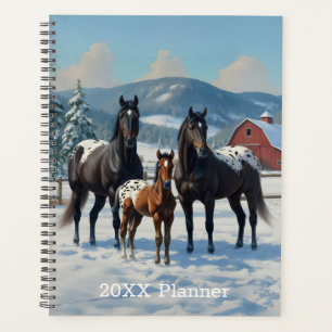 Schwarze Appaloosa Pferde auf einem Bauernhof im W Planer