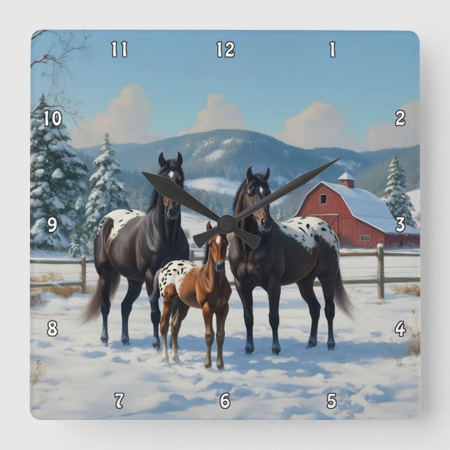 Schwarze Appaloosa Pferde auf einem Bauernhof im W Quadratische Wanduhr (Vorderseite)