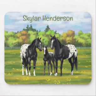 Schwarze Appaloosa Pferde im Sommer Weide Mousepad