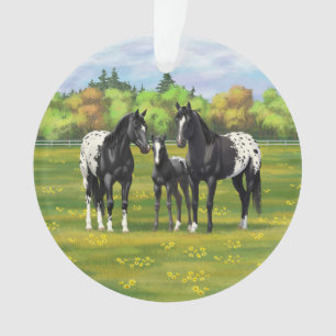 Schwarze Appaloosa Pferde im Sommer Weide Ornament