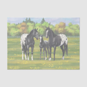 Schwarze Appaloosa Pferde im Sommer Weide Seidenpapier