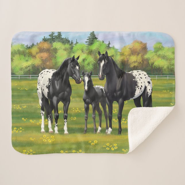 Schwarze Appaloosa Pferde im Sommer Weide Sherpadecke (Vorderseite (Horizontal))