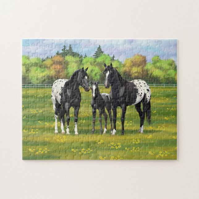 Schwarze Appaloosa Pferde im Sommerweide Puzzle (Horizontal)
