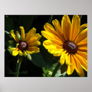 Schwarze Augen Susans Poster