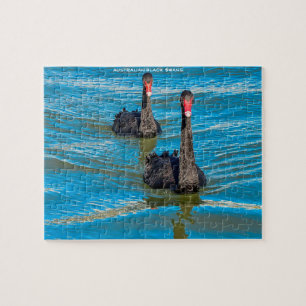 Schwarze australische Schwäne Puzzle