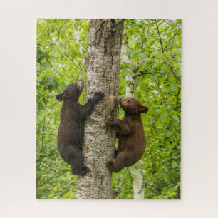 Schwarze Bärenjungen klettern auf einen Baum Puzzle