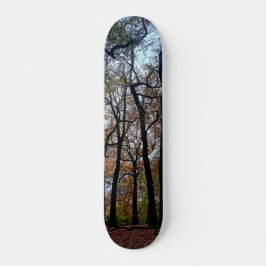 Schwarze Bäume, im Wald Skateboard