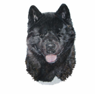 Schwarze Blinde akita Hund Portrait Bildhauermagne Fotoskulptur Magnet
