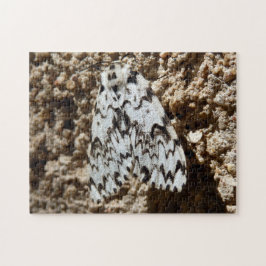 Schwarze Bögen Moth Foto Puzzle mit Geschenkboxen