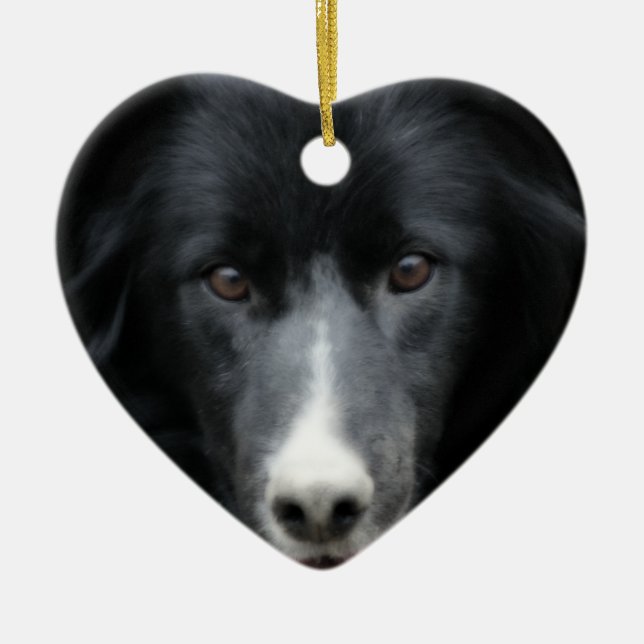 Schwarze Border-Collie-Gesichts-Hundeverzierung Keramikornament (Vorne)