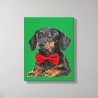 Schwarze Border Collie Puppy Leinwanddruck