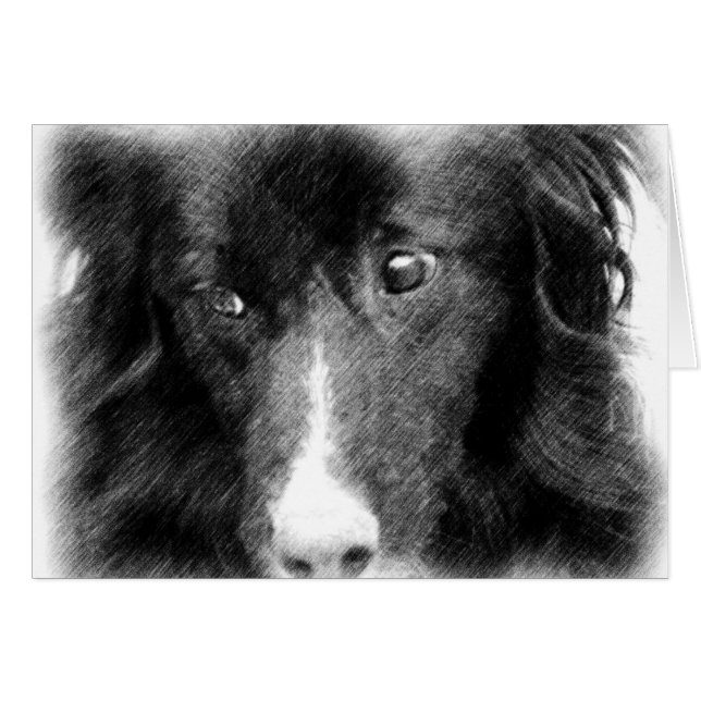 Schwarze Border-Collie-Tierkunst-Karte (Vorderseite (Horizontal))