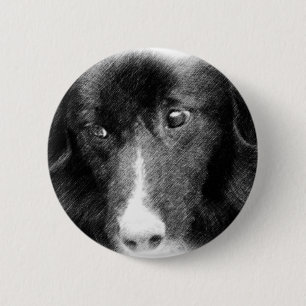 Schwarze Border-Collie-Tierkunst-Knopf Button