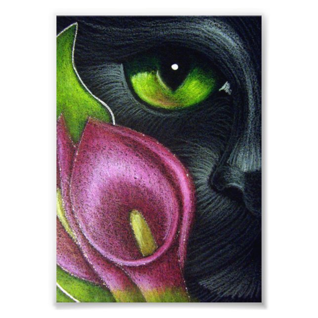 SCHWARZE CAT MAGENTA CALLA LILY BLUME DRUCKEN FOTODRUCK (Vorne)