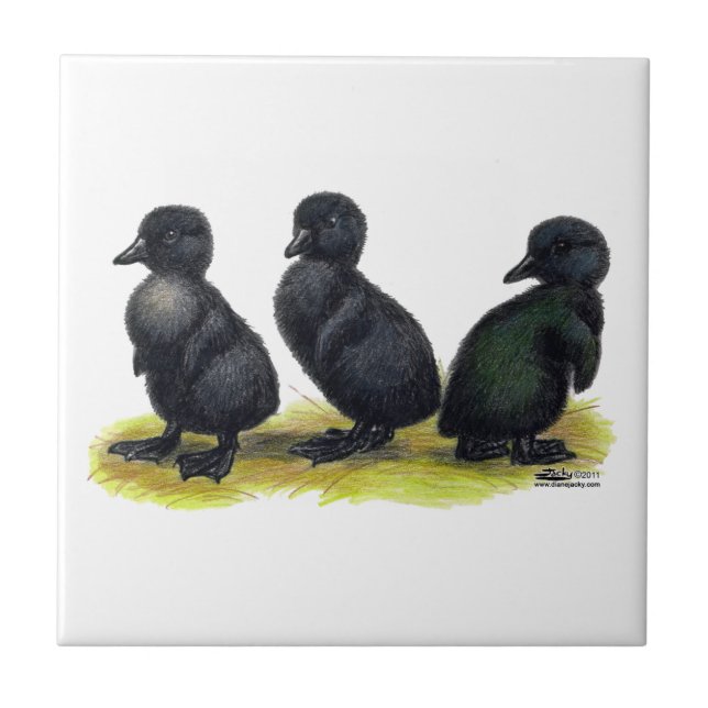 Schwarze Cayuga-Entenküken Fliese (Vorderseite)