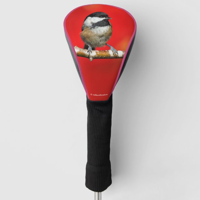Schwarze Chickade auf Herbstrot Hintergrund Golf Headcover (Vorderseite)