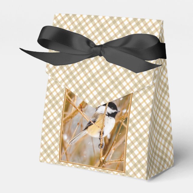 Schwarze Chickade - Original-Foto Geschenkschachtel (Vorderseite)