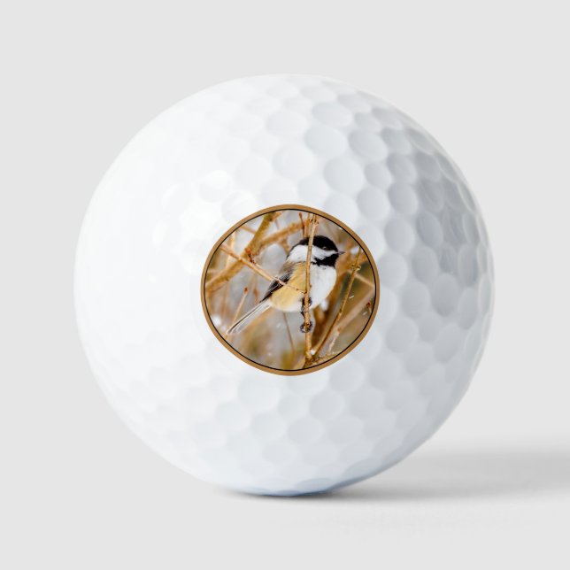 Schwarze Chickade - Original-Foto Golfball (Vorderseite)