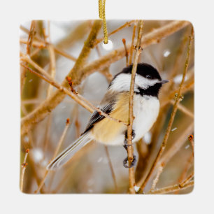 Schwarze Chickade - Original-Foto Keramikornament