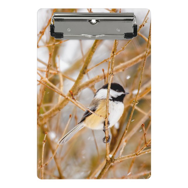 Schwarze Chickade - Original-Foto Mini Klemmbrett (Vorderseite)
