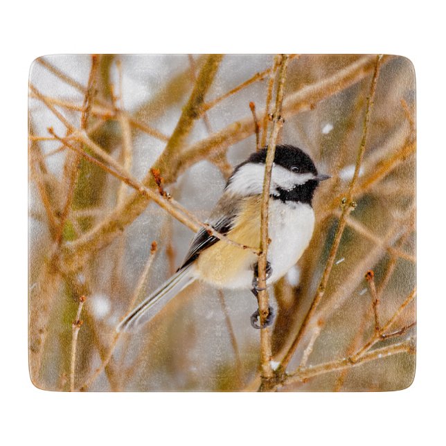 Schwarze Chickade - Original-Foto Schneidebrett (Vorderseite)