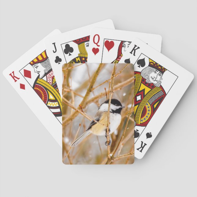 Schwarze Chickade - Original-Foto Spielkarten (Rückseite)