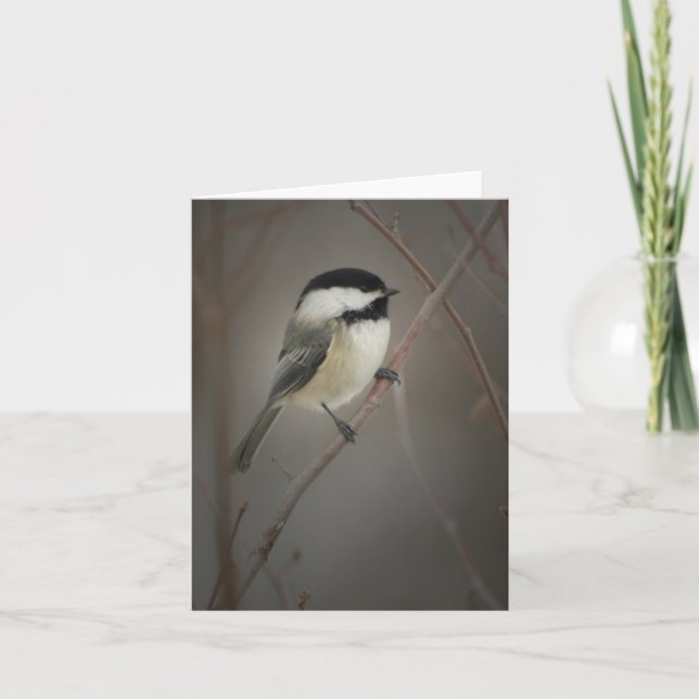 Schwarze Chickadee Notecard Karte (Vorderseite)