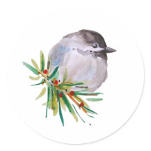 Schwarze Chickadewasser