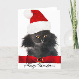 SCHWARZE CHRISTMAS KATZE MIT SANTA CLAUS HAT FEIERTAGSKARTE