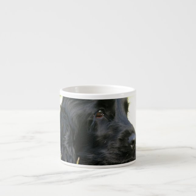 Schwarze Cockerspaniel-Hundespezialitäten-Tasse Espressotasse (Vorderseite)