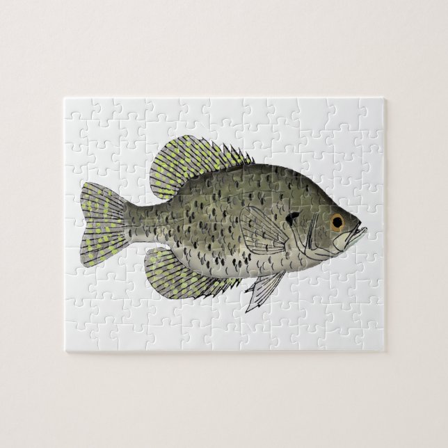 Schwarze Crappie Puzzle (Horizontal)