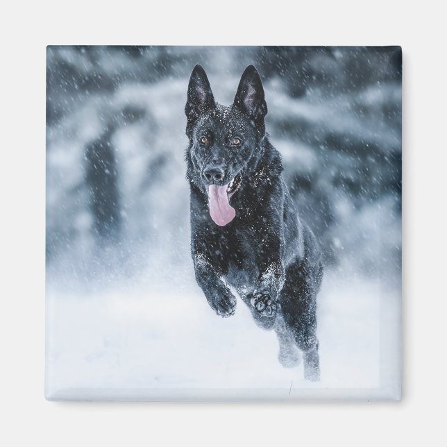 Schwarze Deutsche Schäferhunde im Schnee Bettwäsch Magnet (Vorne)