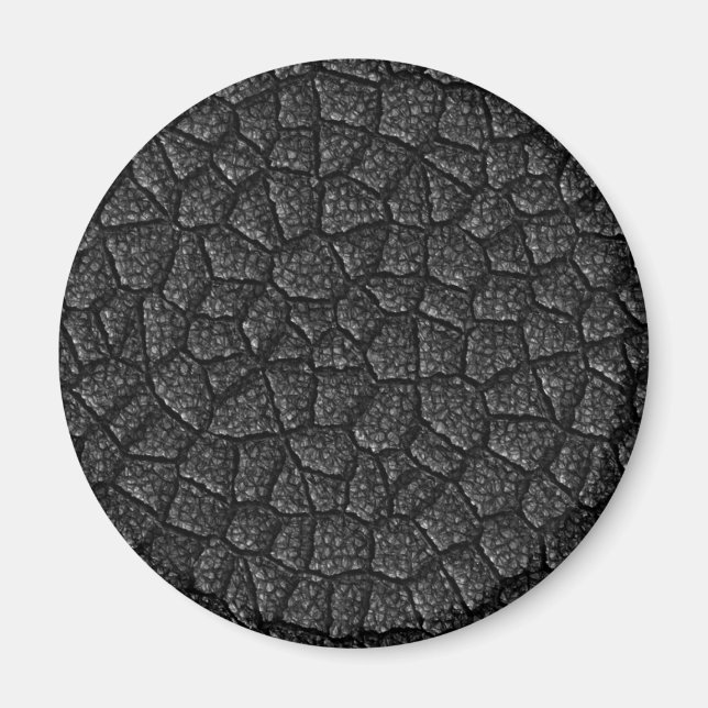 Schwarze Drachenskala Magnet (Vorne)