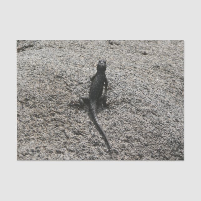 Schwarze Eidechse Seidenpapier (Vorderseite)