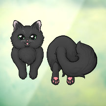 Schwarze Fluffige Katzenhinterbacke