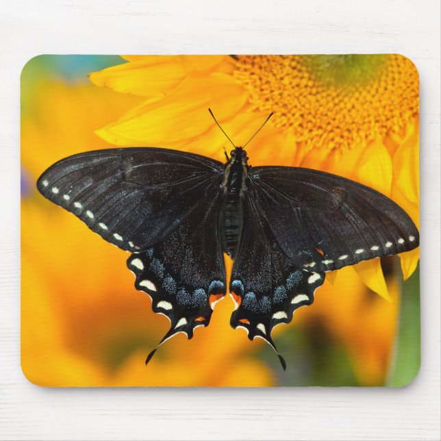 Schwarze Form des Östlichen Tigers Mousepad (Vorne)